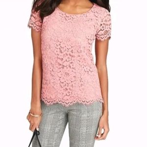 nwot Talbots Short Sleeve Lace Blouse Top, 14P